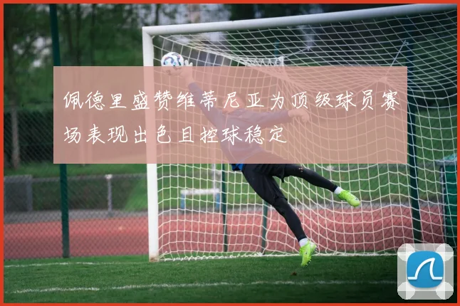 佩德里盛赞维蒂尼亚为顶级球员赛场表现出色且控球稳定