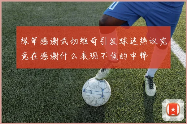 绿军感谢武切维奇引发球迷热议究竟在感谢什么表现不佳的中锋